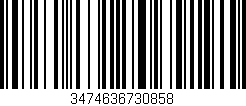 Código de barras (EAN, GTIN, SKU, ISBN): '3474636730858'