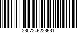 Código de barras (EAN, GTIN, SKU, ISBN): '3607346236581'