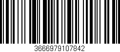 Código de barras (EAN, GTIN, SKU, ISBN): '3666979107842'