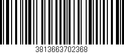 Código de barras (EAN, GTIN, SKU, ISBN): '3813663702368'