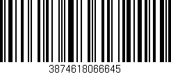 Código de barras (EAN, GTIN, SKU, ISBN): '3874618066645'