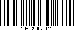 Código de barras (EAN, GTIN, SKU, ISBN): '3958690870113'