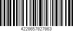 Código de barras (EAN, GTIN, SKU, ISBN): '4228657827863'