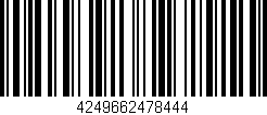 Código de barras (EAN, GTIN, SKU, ISBN): '4249662478444'