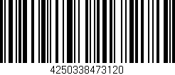 Código de barras (EAN, GTIN, SKU, ISBN): '4250338473120'