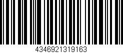 Código de barras (EAN, GTIN, SKU, ISBN): '4346921319163'