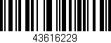 Código de barras (EAN, GTIN, SKU, ISBN): '43616229'