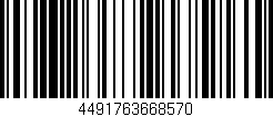 Código de barras (EAN, GTIN, SKU, ISBN): '4491763668570'
