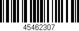 Código de barras (EAN, GTIN, SKU, ISBN): '45462307'