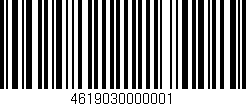 Código de barras (EAN, GTIN, SKU, ISBN): '4619030000001'