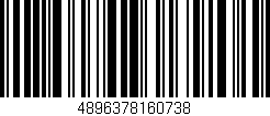 Código de barras (EAN, GTIN, SKU, ISBN): '4896378160738'