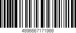 Código de barras (EAN, GTIN, SKU, ISBN): '4896667171988'