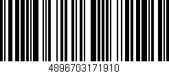 Código de barras (EAN, GTIN, SKU, ISBN): '4896703171910'