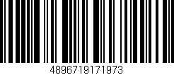 Código de barras (EAN, GTIN, SKU, ISBN): '4896719171973'