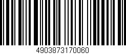 Código de barras (EAN, GTIN, SKU, ISBN): '4903873170060'