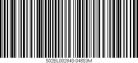 Código de barras (EAN, GTIN, SKU, ISBN): '502BL002840-04653M'