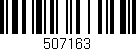 Código de barras (EAN, GTIN, SKU, ISBN): '507163'