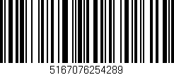 Código de barras (EAN, GTIN, SKU, ISBN): '5167076254289'