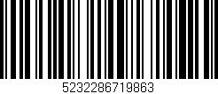 Código de barras (EAN, GTIN, SKU, ISBN): '5232286719863'
