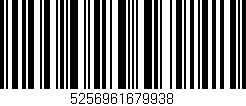 Código de barras (EAN, GTIN, SKU, ISBN): '5256961679938'