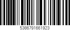 Código de barras (EAN, GTIN, SKU, ISBN): '5386791661923'