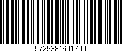 Código de barras (EAN, GTIN, SKU, ISBN): '5729381691700'