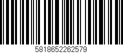 Código de barras (EAN, GTIN, SKU, ISBN): '5818652262579'