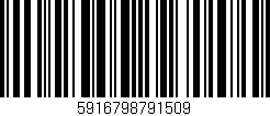 Código de barras (EAN, GTIN, SKU, ISBN): '5916798791509'