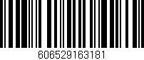 Código de barras (EAN, GTIN, SKU, ISBN): '606529163181'