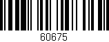 Código de barras (EAN, GTIN, SKU, ISBN): '60675'