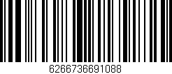 Código de barras (EAN, GTIN, SKU, ISBN): '6266736691088'