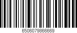 Código de barras (EAN, GTIN, SKU, ISBN): '6506079866669'