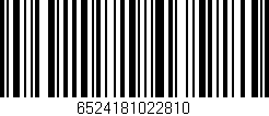 Código de barras (EAN, GTIN, SKU, ISBN): '6524181022810'