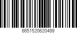 Código de barras (EAN, GTIN, SKU, ISBN): '6651520620489'