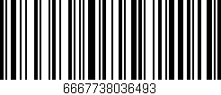 Código de barras (EAN, GTIN, SKU, ISBN): '6667738036493'