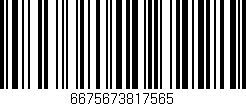 Código de barras (EAN, GTIN, SKU, ISBN): '6675673817565'
