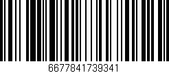 Código de barras (EAN, GTIN, SKU, ISBN): '6677841739341'
