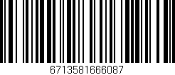 Código de barras (EAN, GTIN, SKU, ISBN): '6713581666087'
