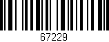 Código de barras (EAN, GTIN, SKU, ISBN): '67229'