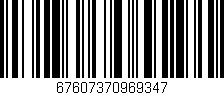Código de barras (EAN, GTIN, SKU, ISBN): '67607370969347'