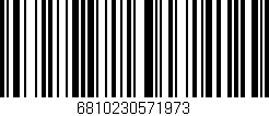 Código de barras (EAN, GTIN, SKU, ISBN): '6810230571973'