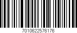 Código de barras (EAN, GTIN, SKU, ISBN): '7010622576176'