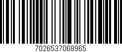 Código de barras (EAN, GTIN, SKU, ISBN): '7026537068965'