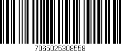 Código de barras (EAN, GTIN, SKU, ISBN): '7065025308558'