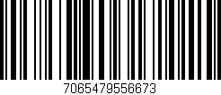 Código de barras (EAN, GTIN, SKU, ISBN): '7065479556673'