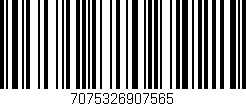 Código de barras (EAN, GTIN, SKU, ISBN): '7075326907565'