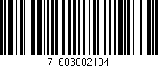 Código de barras (EAN, GTIN, SKU, ISBN): '71603002104'