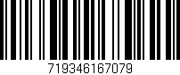 Código de barras (EAN, GTIN, SKU, ISBN): '719346167079'