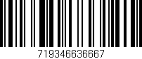 Código de barras (EAN, GTIN, SKU, ISBN): '719346636667'