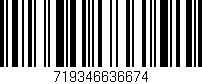Código de barras (EAN, GTIN, SKU, ISBN): '719346636674'